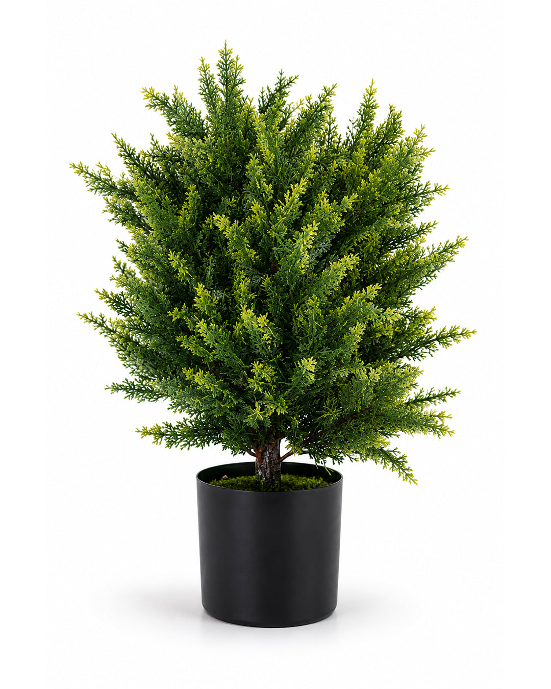 Artificial Cypress Plant with Black Pot | Green Home Decoration | Gift Item