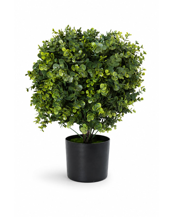 Artificial Eucalyptus Plant with Black Pot | Decorative Table Plant