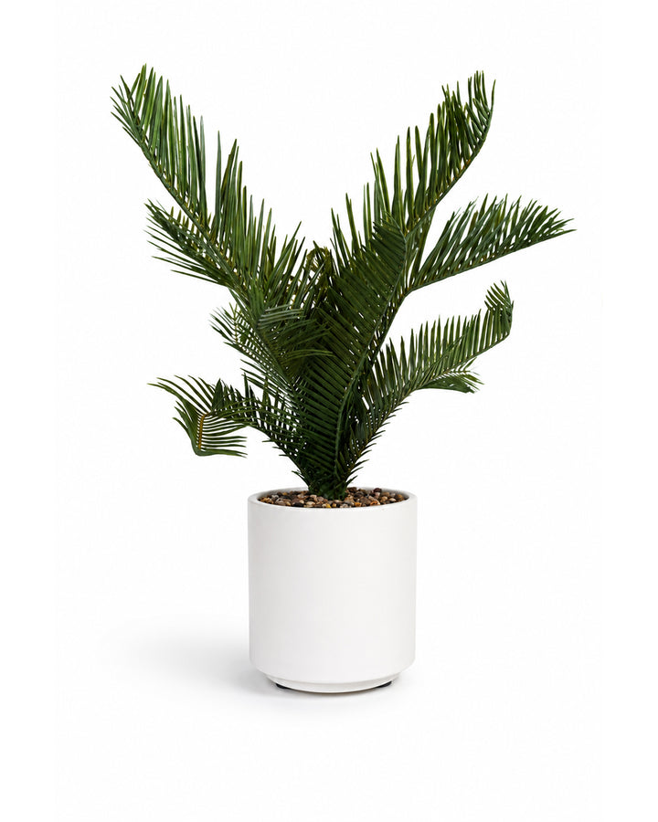 Artificial Palm Plant with White Pot | Tropical Home Decoration | Decorative Gift Item