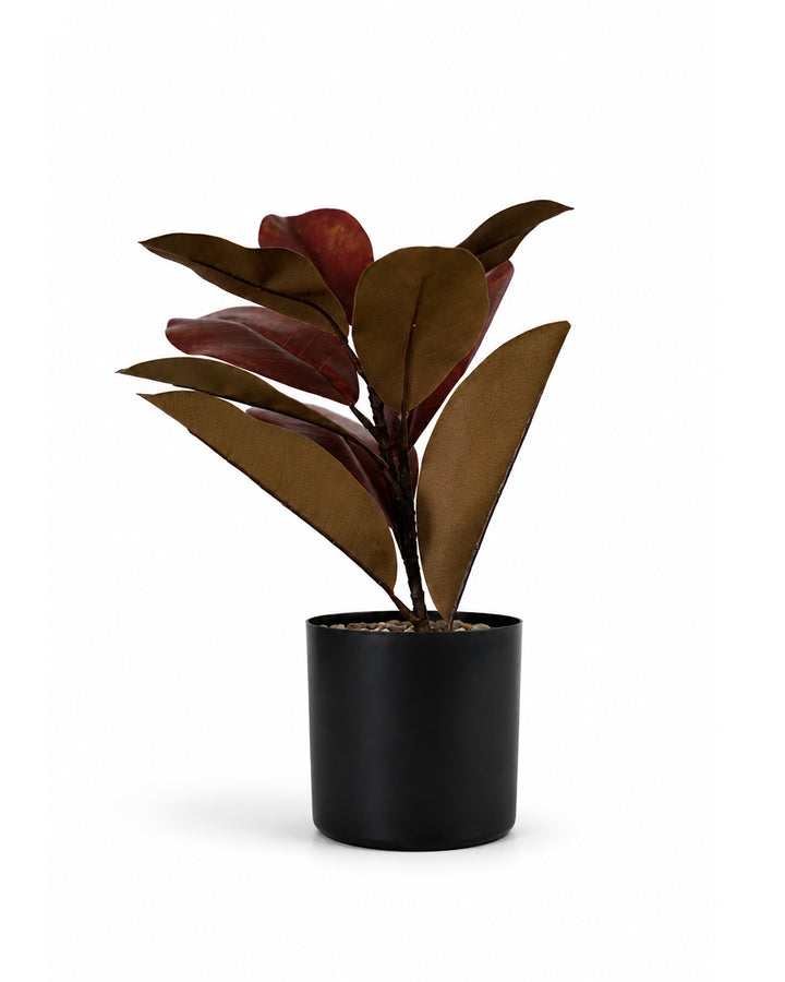 Artificial Burgundy Rubber Plant with Black Pot