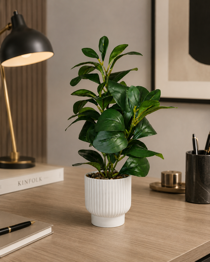 Artificial Rubber Plant with White Ribbed Pot | Indoor Home Decoration | Decorative Gift Item
